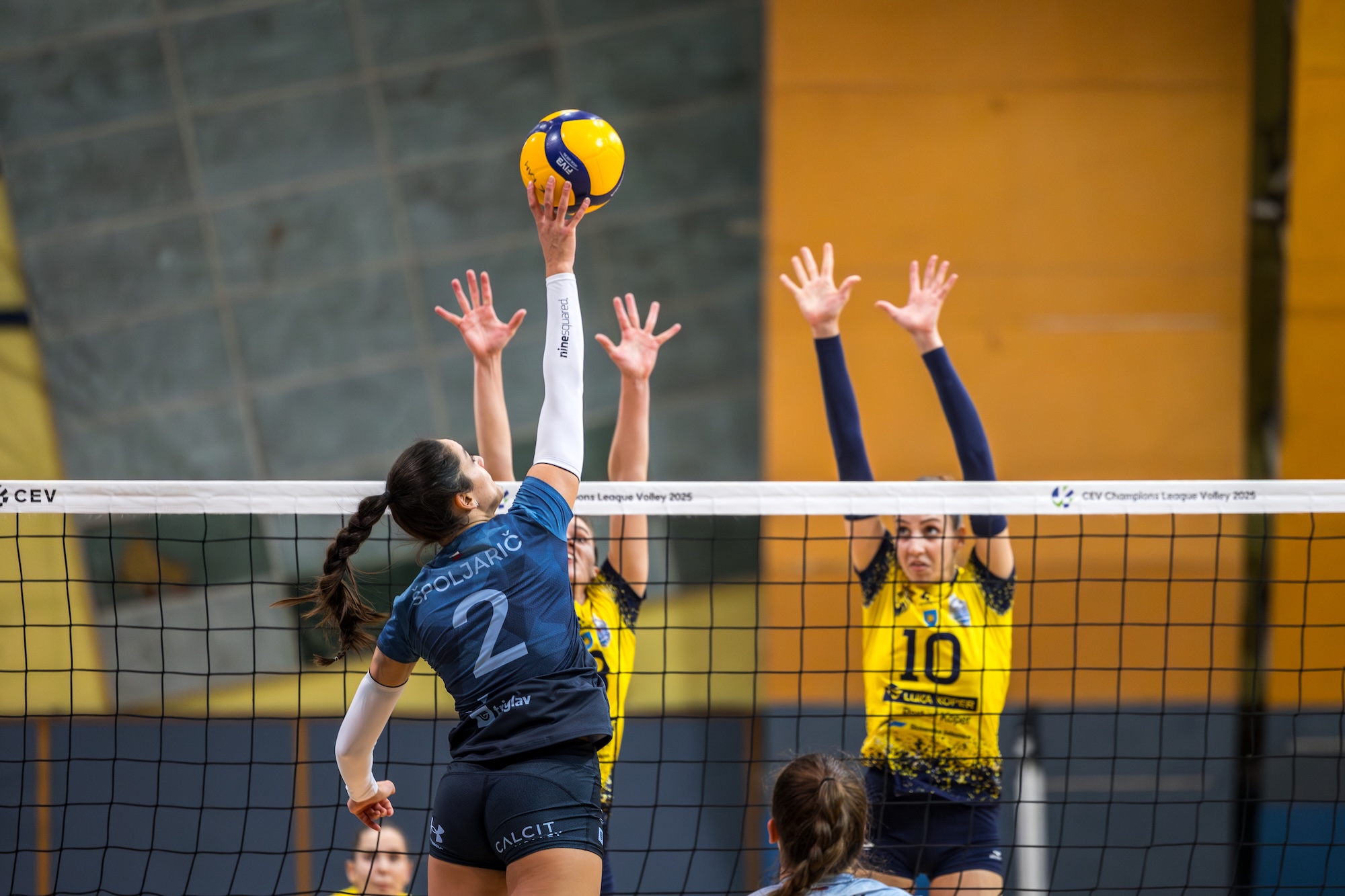 Odbojkarice Calcit Volley (2)